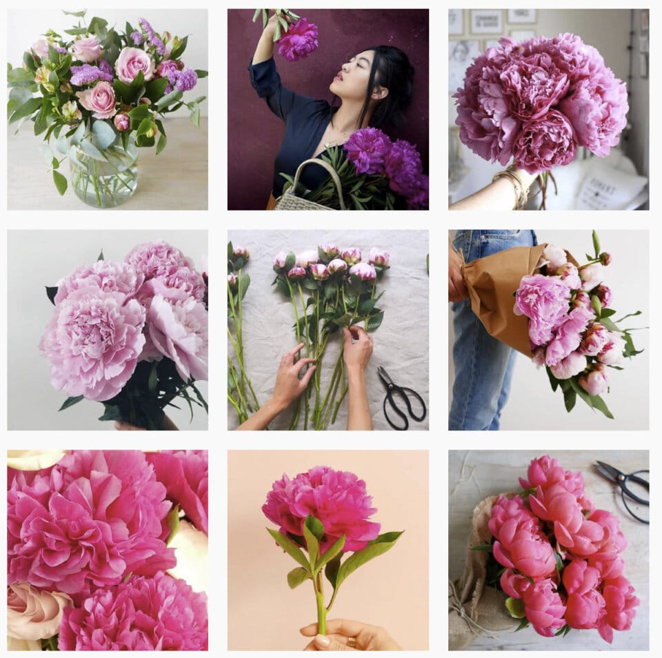 ピンクの花で統一されている画像